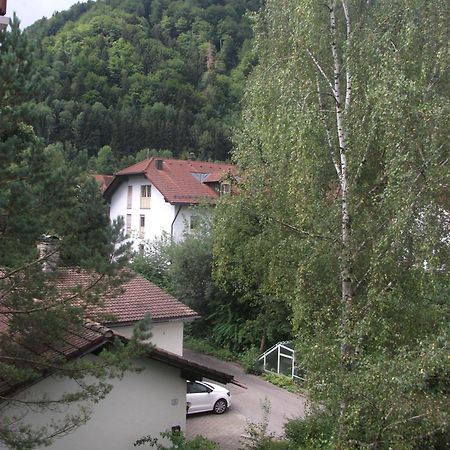 Appartemant Steineberg Immenstadt im Allgäu Exterior photo